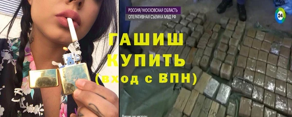хмурый Алексин