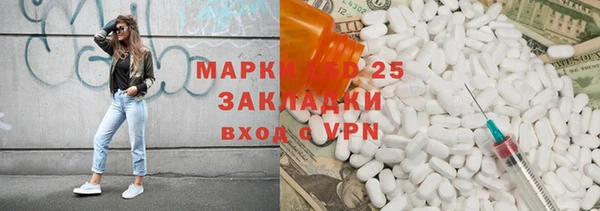 прущие грибы Алексеевка