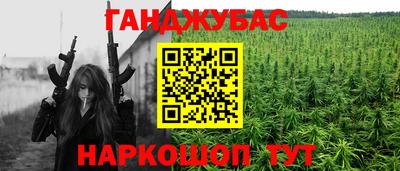 крисы Тулун