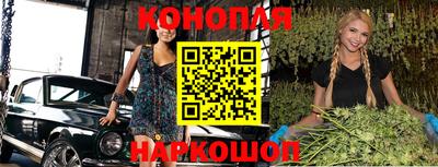 МДПВ Будённовск