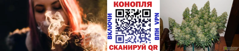 Каннабис планчик Краснознаменск